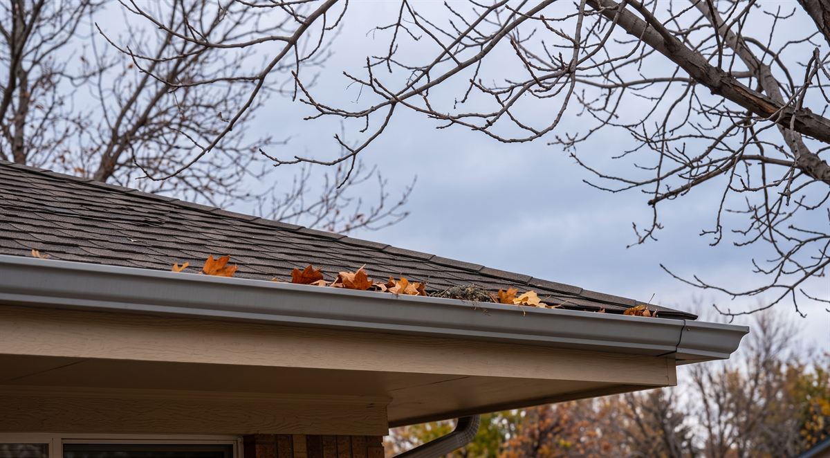 A house gutter and roofline beneath bare autumn branches